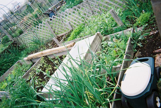 Daisy's Le Jardin-Cold Frames